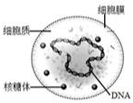 菁優(yōu)網