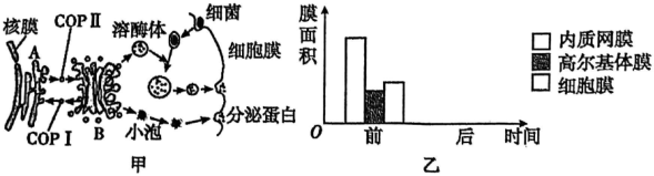 菁優(yōu)網