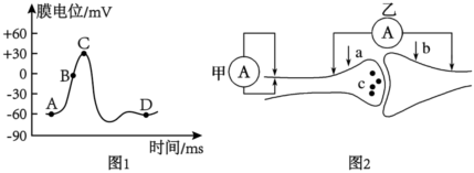 菁優(yōu)網(wǎng)