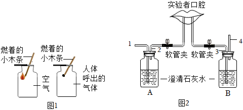 菁優(yōu)網