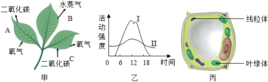 菁優(yōu)網(wǎng)