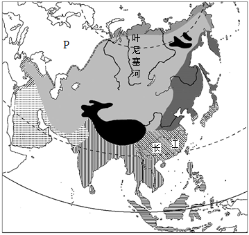 菁優(yōu)網