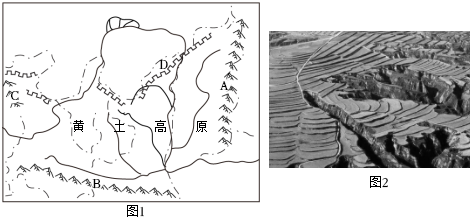 菁優(yōu)網