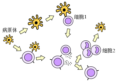 菁優(yōu)網