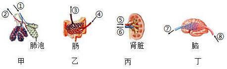 菁優(yōu)網