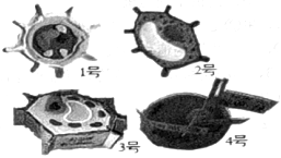 菁優(yōu)網(wǎng)