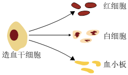 菁優(yōu)網