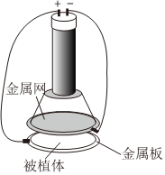 菁優(yōu)網