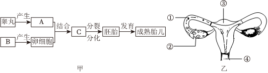 菁優(yōu)網