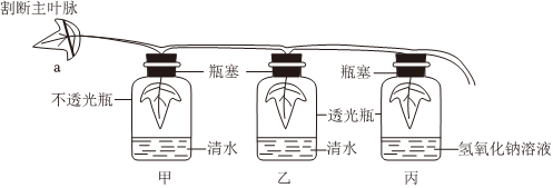 菁優(yōu)網(wǎng)