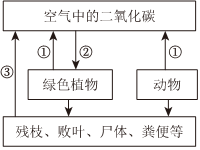 菁優(yōu)網(wǎng)