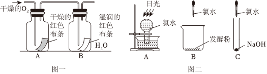 菁優(yōu)網