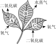 菁優(yōu)網(wǎng)