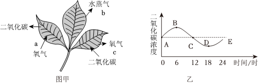 菁優(yōu)網(wǎng)