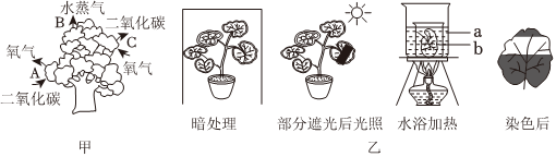 菁優(yōu)網(wǎng)