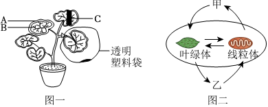 菁優(yōu)網(wǎng)