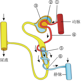 菁優(yōu)網(wǎng)