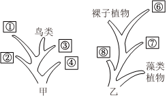 菁優(yōu)網(wǎng)