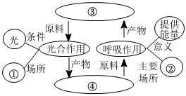 菁優(yōu)網(wǎng)