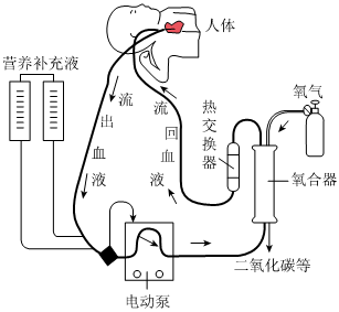 菁優(yōu)網(wǎng)