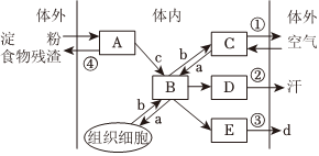 菁優(yōu)網(wǎng)