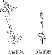 菁優(yōu)網