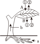 菁優(yōu)網(wǎng)