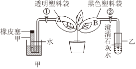 菁優(yōu)網(wǎng)