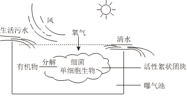 菁優(yōu)網