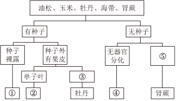 菁優(yōu)網