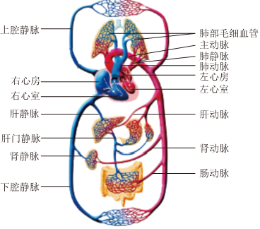 菁優(yōu)網(wǎng)