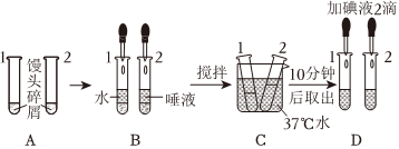 菁優(yōu)網