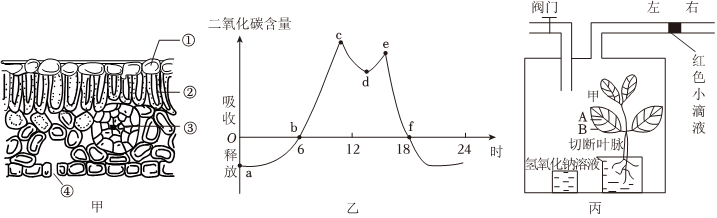 菁優(yōu)網