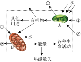 菁優(yōu)網