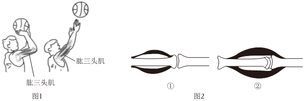 菁優(yōu)網