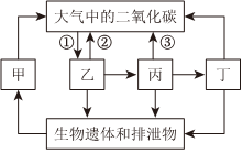 菁優(yōu)網