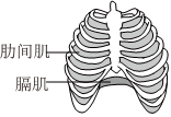 菁優(yōu)網