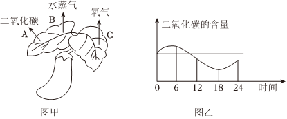 菁優(yōu)網(wǎng)