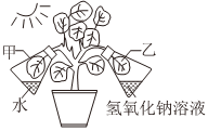 菁優(yōu)網(wǎng)