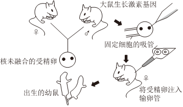 菁優(yōu)網