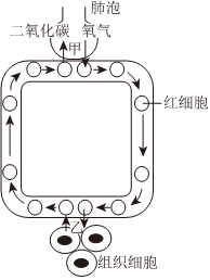 菁優(yōu)網(wǎng)