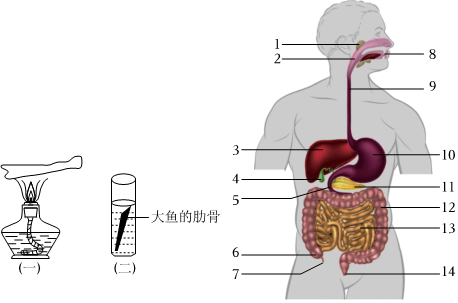 菁優(yōu)網