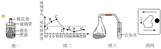 菁優(yōu)網(wǎng)