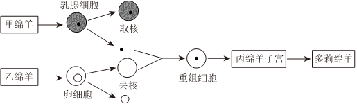 菁優(yōu)網