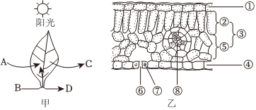 菁優(yōu)網(wǎng)