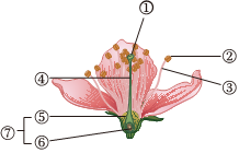 菁優(yōu)網