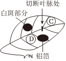 菁優(yōu)網