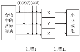 菁優(yōu)網(wǎng)