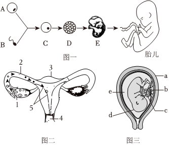 菁優(yōu)網