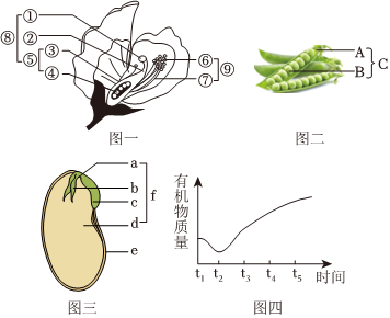 菁優(yōu)網